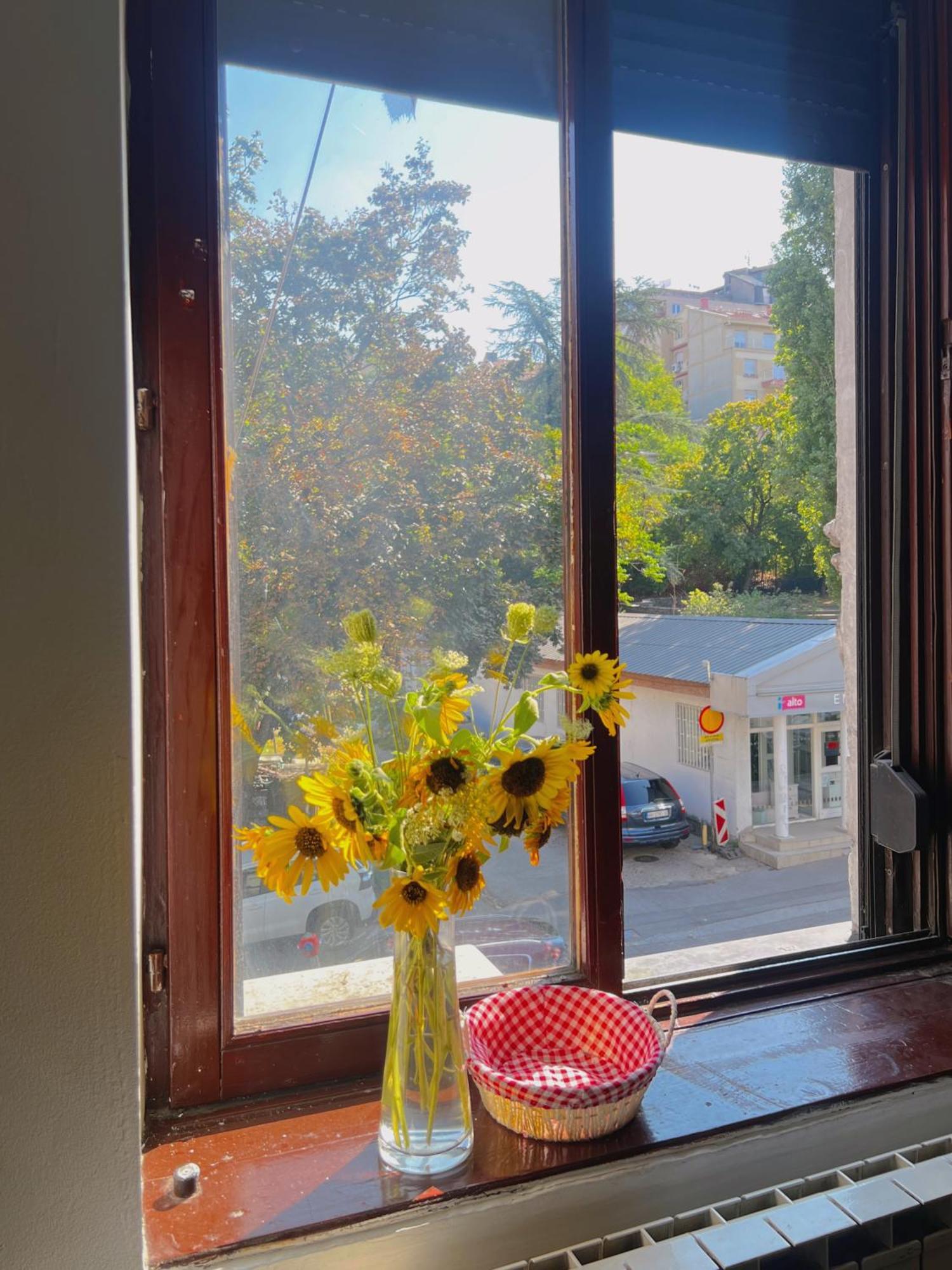 Happy Cat Old Town Hostel Belgrade Luaran gambar